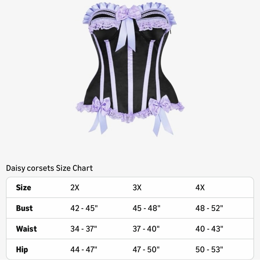 Daisy Corsets Striped Corset Top/Lingerie/Costume/Burlesque/Plus Size: 3XL - Picture 8 of 13